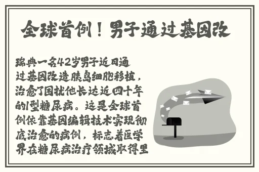 两个人的完整在线视频免费